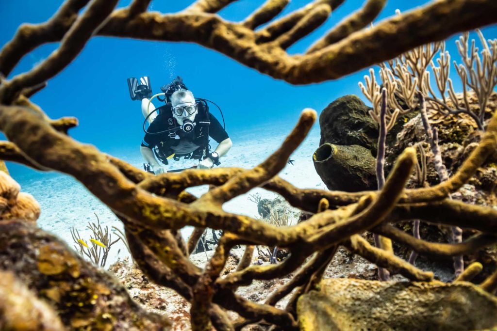 Récif corallien de Cozumel