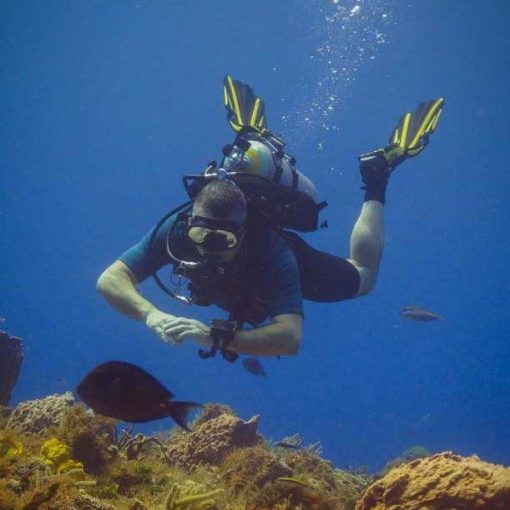 Phil Lowe - Divemaster