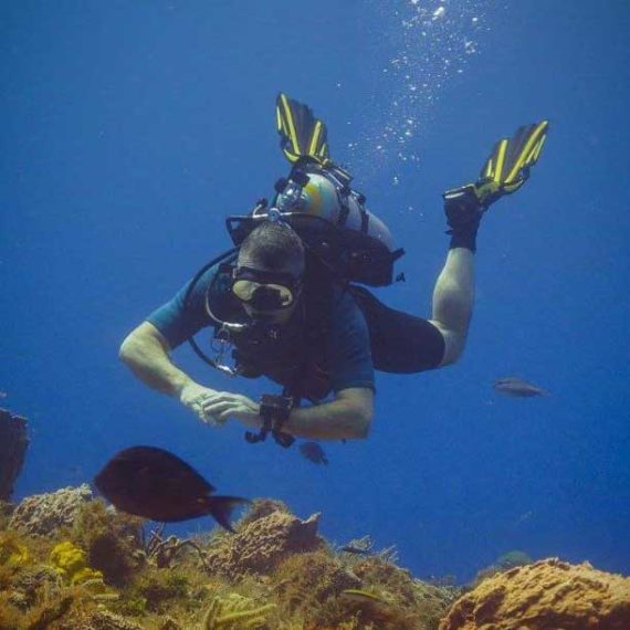 Phil Lowe - Divemaster