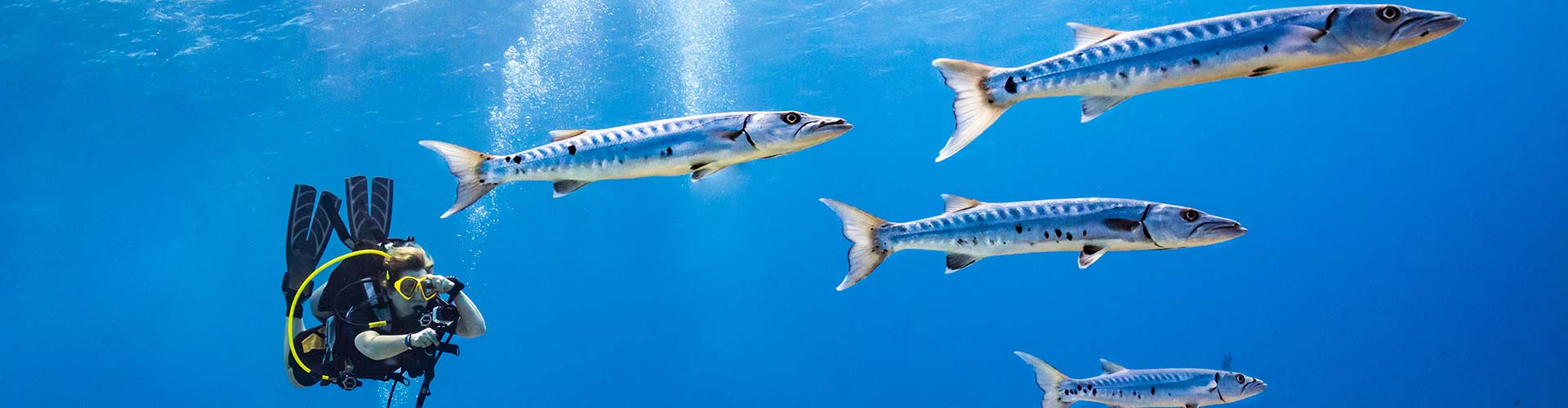 La experiencia de buceo