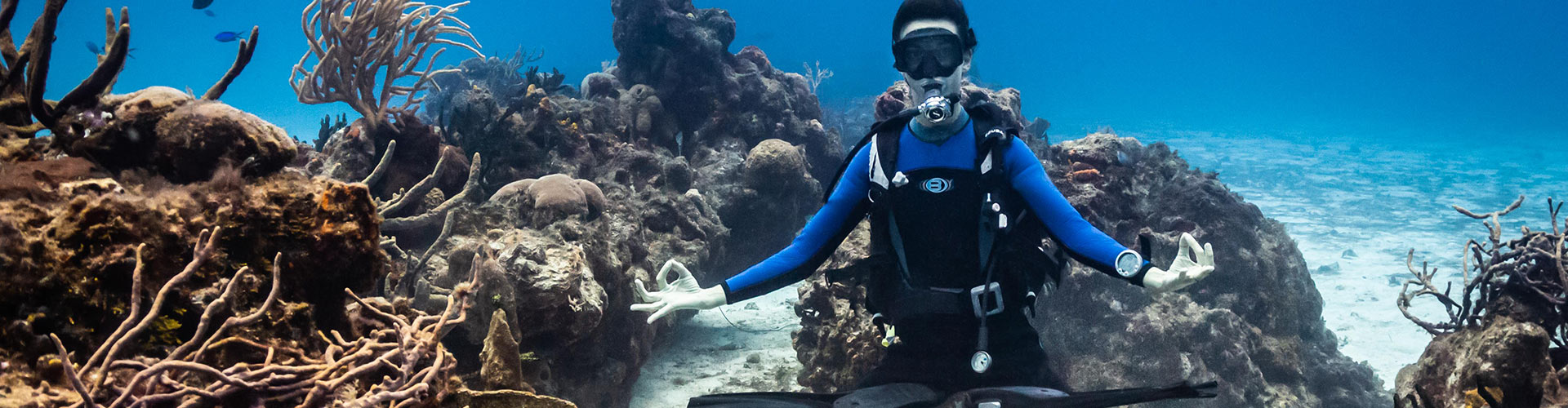 Yoga and Dive Retreat