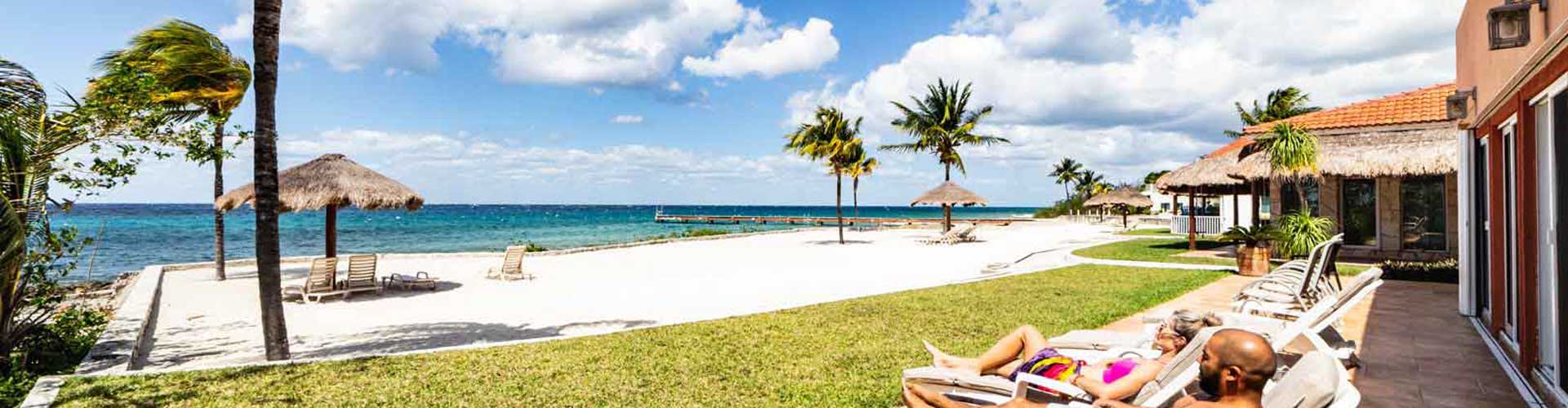 Sunbathing and enjoying the view